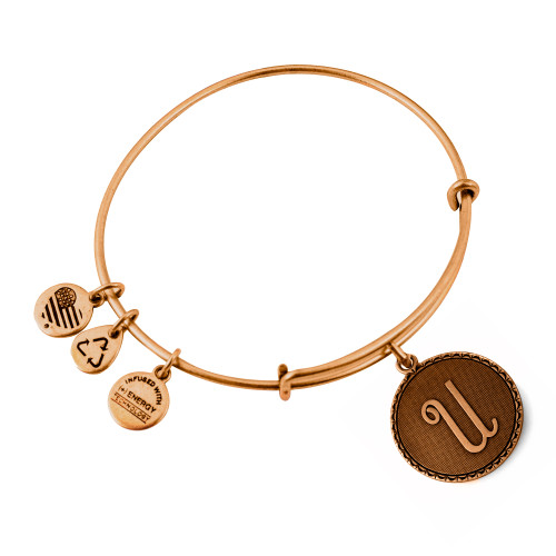 Alex and ani ALEX AND ANI A08EB91UG - Bracelet Dam (19-25CM)