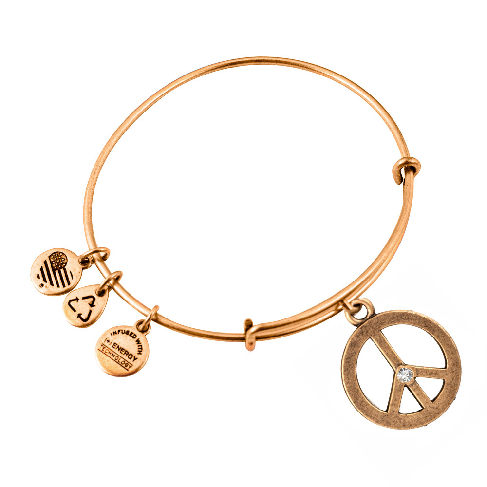 Produktbild för ALEX AND ANI A09EB139RG - Bracelet Dam (19-25CM)