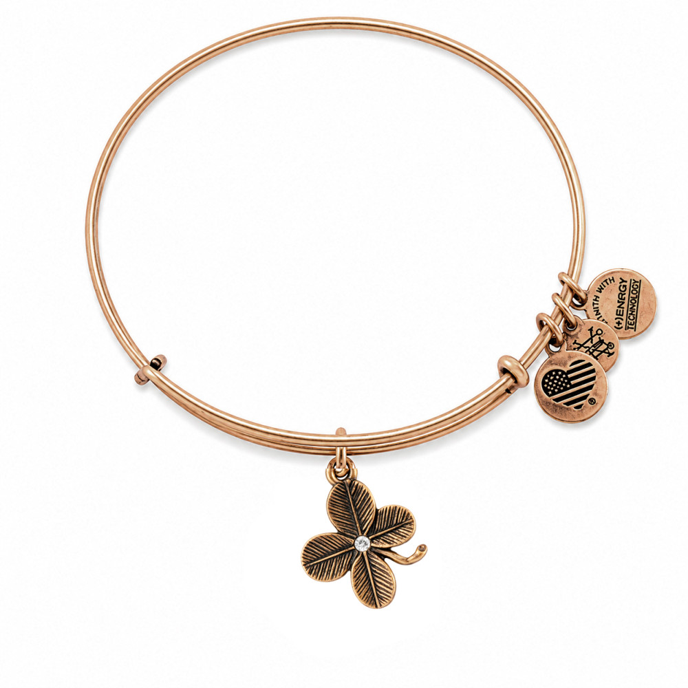 Produktbild för ALEX AND ANI A09EB143RG - Bracelet Dam (19-25CM)