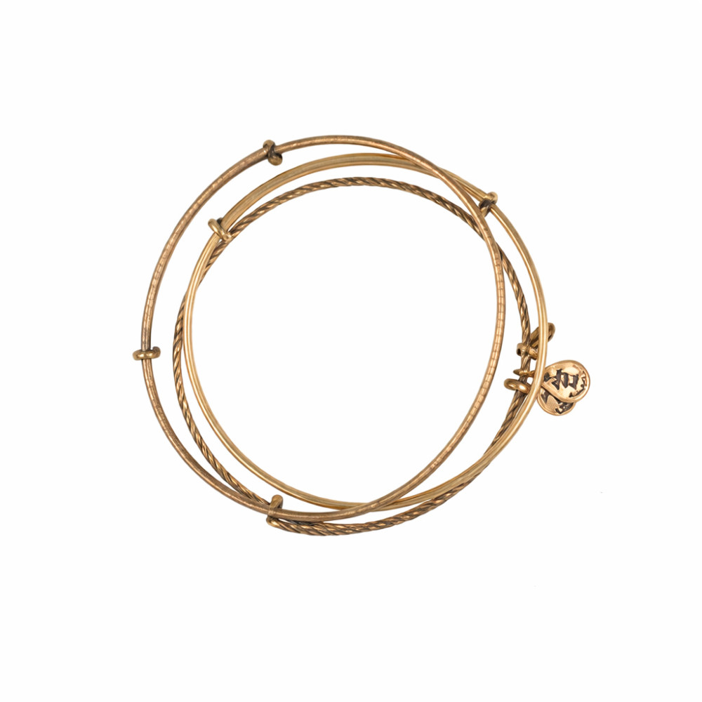 Produktbild för ALEX AND ANI A09EB150RG - Bracelet Dam (19-25CM)