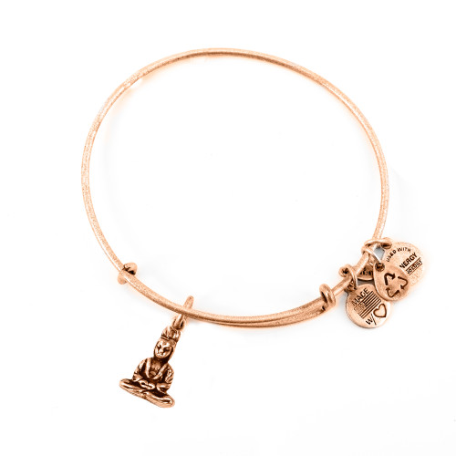 Alex and ani ALEX AND ANI A11EB106RG - Bracelet Dam (19-25CM)