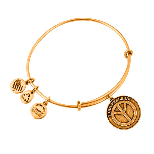Alex and ani ALEX AND ANI A12EB11RG - Bracelet Dam (19-25CM)