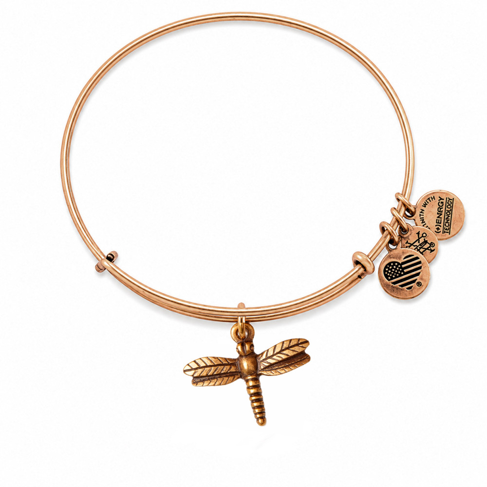 Produktbild för ALEX AND ANI A12EB16RG - Bracelet Dam (19-25CM)