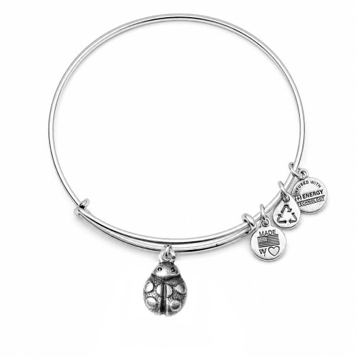 Alex and ani ALEX AND ANI A12EB18RS - Bracelet Dam (19-25CM)