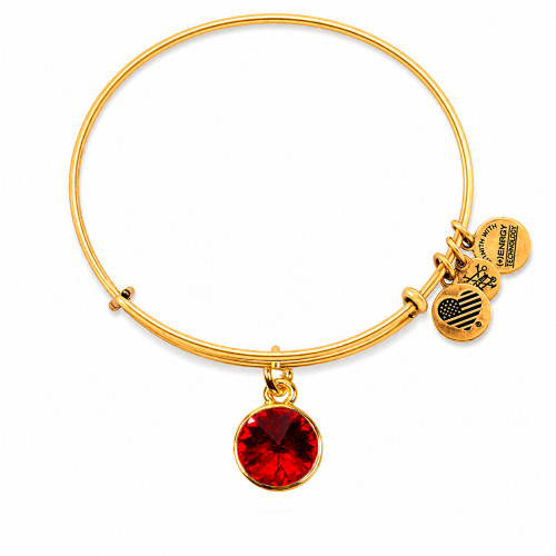 Alex and ani ALEX AND ANI A12EB246RG - Bracelet Dam (19-25CM)