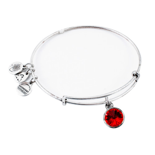 Alex and ani ALEX AND ANI A12EB246RS - Bracelet Dam (19-25CM)