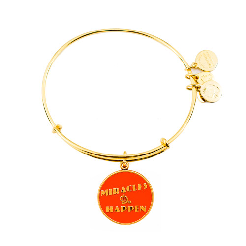 Alex and ani ALEX AND ANI A12EB25RGS - Bracelet Dam (19-25CM)