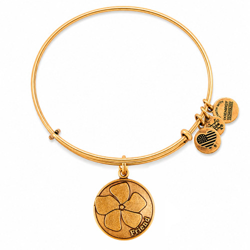 Alex and ani ALEX AND ANI A12EB51RG - Bracelet Dam (19-25CM)