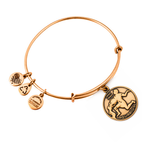 Alex and ani ALEX AND ANI A13EB01AQRG - Bracelet Dam (19-25CM)