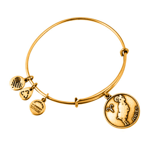 Alex and ani ALEX AND ANI A13EB01ARRG - Bracelet Dam (19-25CM)