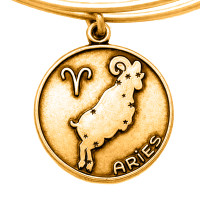 Produktbild för ALEX AND ANI A13EB01ARRG - Bracelet Dam (19-25CM)