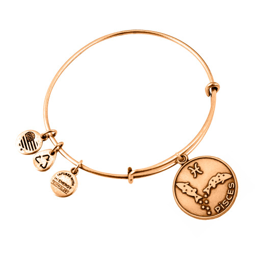 Alex and ani ALEX AND ANI A13EB01PIRG - Bracelet Dam (19-25CM)