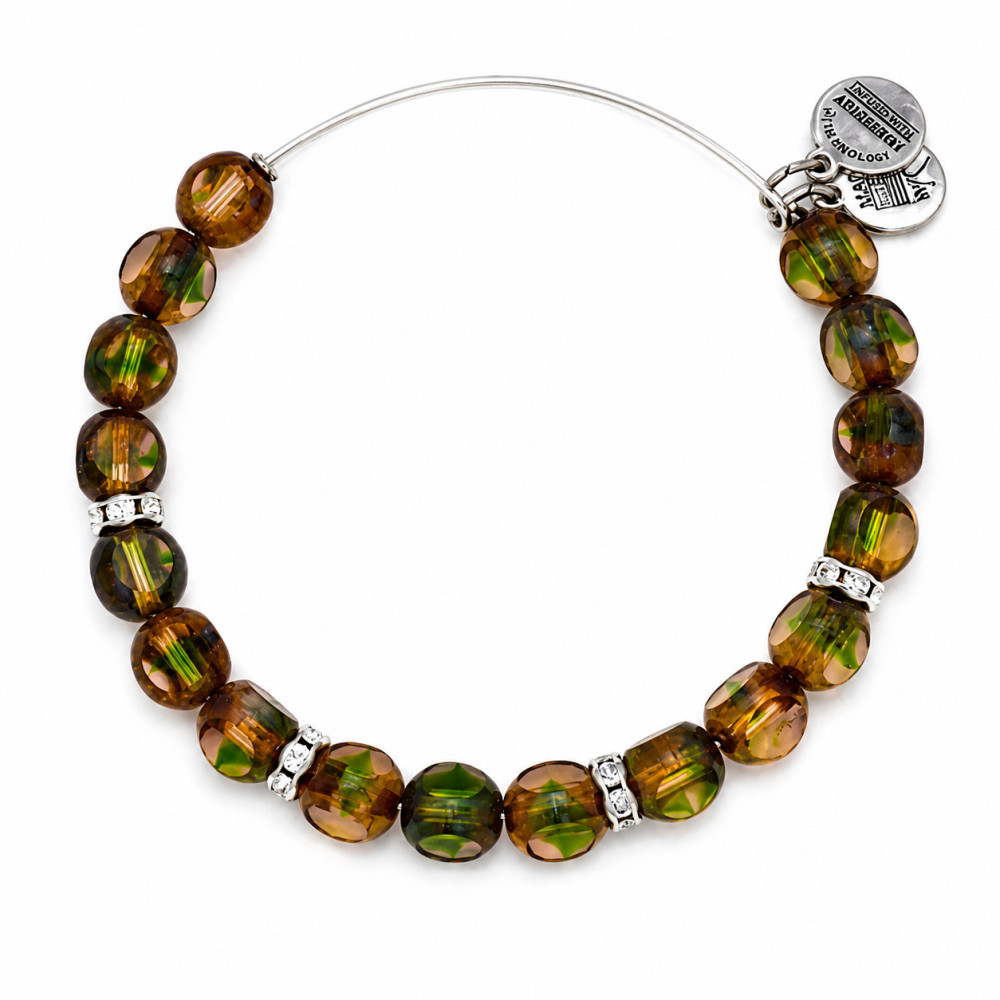 Produktbild för ALEX AND ANI A13EB33RS - Bracelet Dam (20CM)