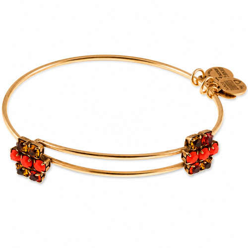 Alex and ani ALEX AND ANI A13EB77RG - Bracelet Dam (20CM)