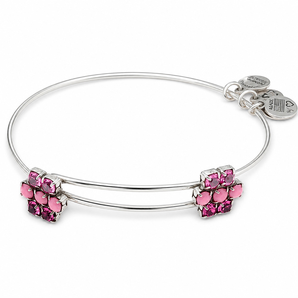 Produktbild för ALEX AND ANI A13EB80RS - Bracelet Dam (20CM)
