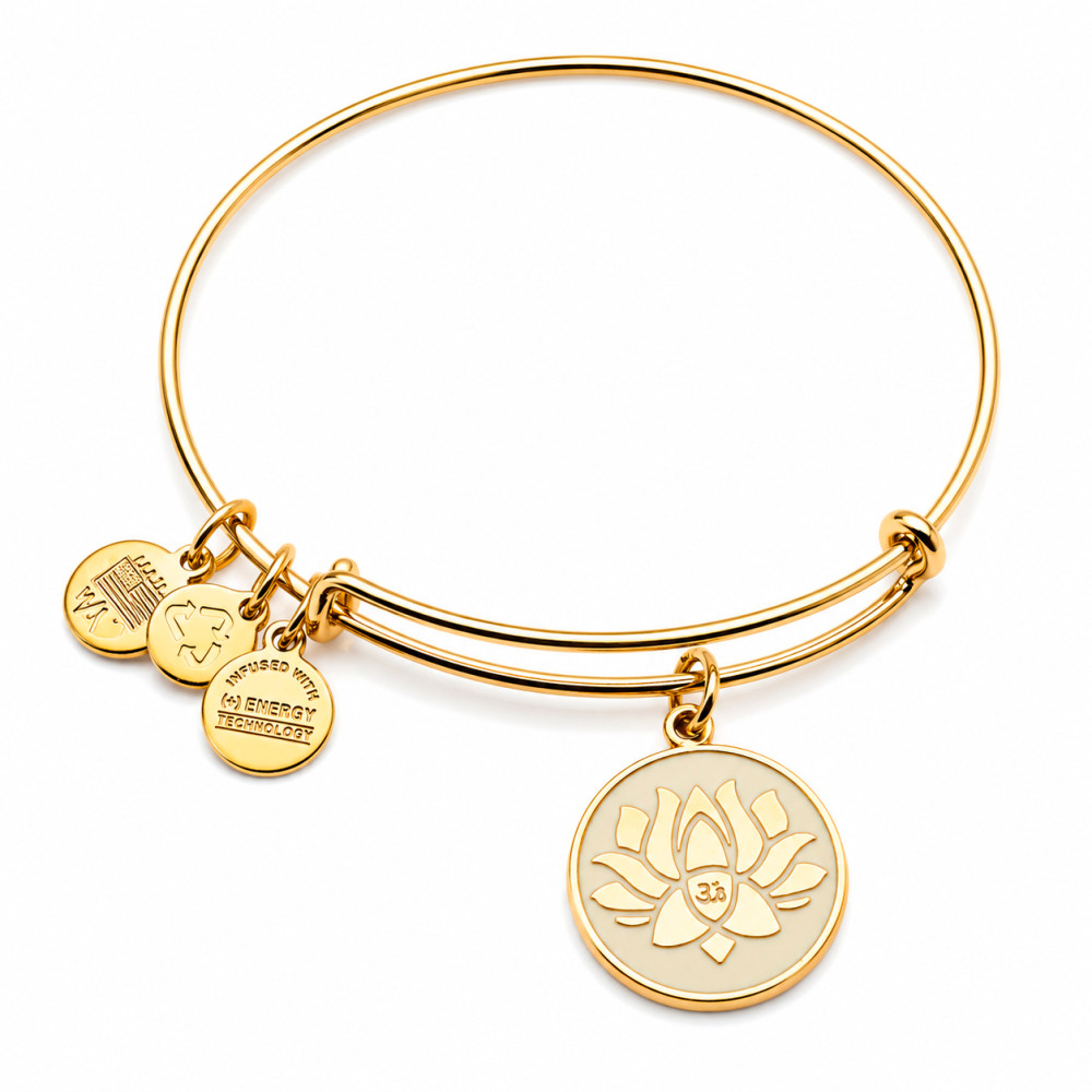 Produktbild för ALEX AND ANI A14EB54YG - Bracelet Dam (20CM)