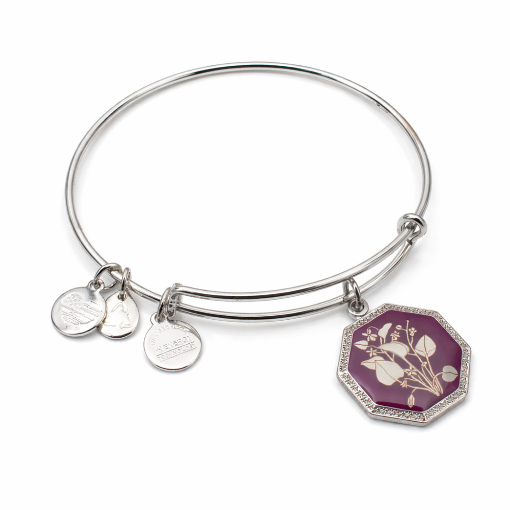 Produktbild för ALEX AND ANI A14EB90SS - Bracelet Dam (20CM)