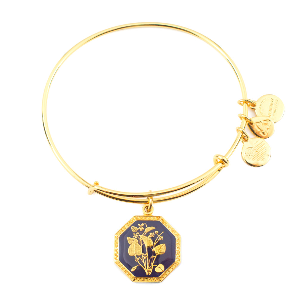 Produktbild för ALEX AND ANI A14EB90YG - Bracelet Dam (20CM)