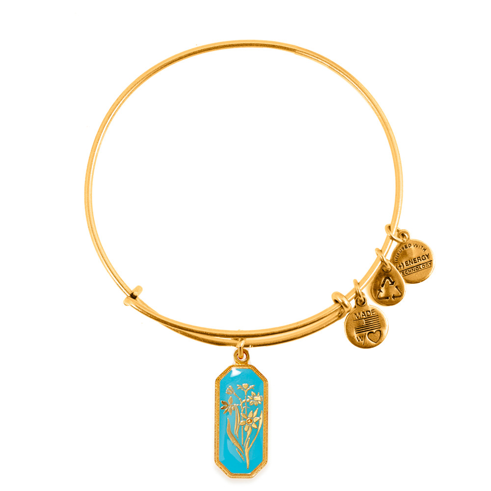 Produktbild för ALEX AND ANI A14EB91YG - Bracelet Dam (20CM)