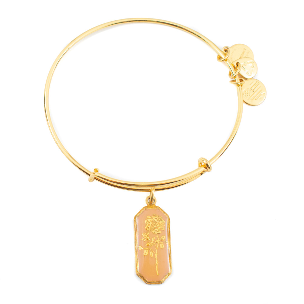 Produktbild för ALEX AND ANI A14EB94YG - Bracelet Dam (20CM)