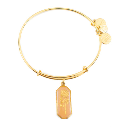 Alex and ani ALEX AND ANI A14EB94YG - Bracelet Dam (20CM)
