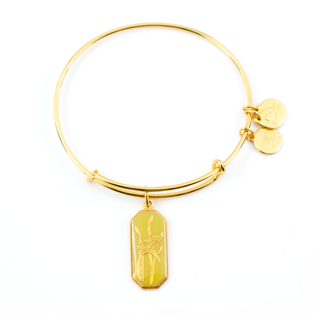 Produktbild för ALEX AND ANI A14EB96YG - Bracelet Dam (20CM)