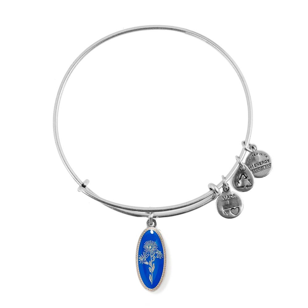 Produktbild för ALEX AND ANI A14EB97SS - Bracelet Dam (20CM)