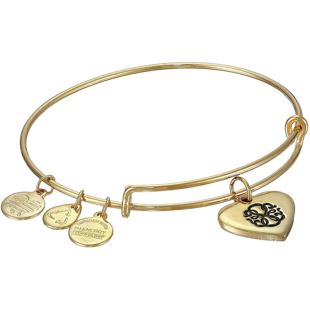 Produktbild för ALEX AND ANI A15EB02YG - Bracelet Dam (17,5CM)