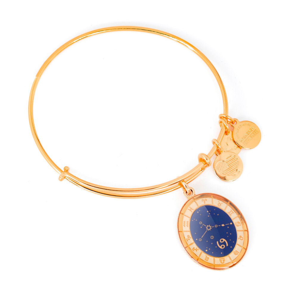 Produktbild för ALEX AND ANI A15EB60YG - Bracelet Dam (20CM)