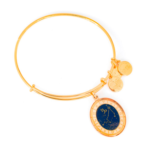 Alex and ani ALEX AND ANI A15EB61YG - Bracelet Dam (20CM)