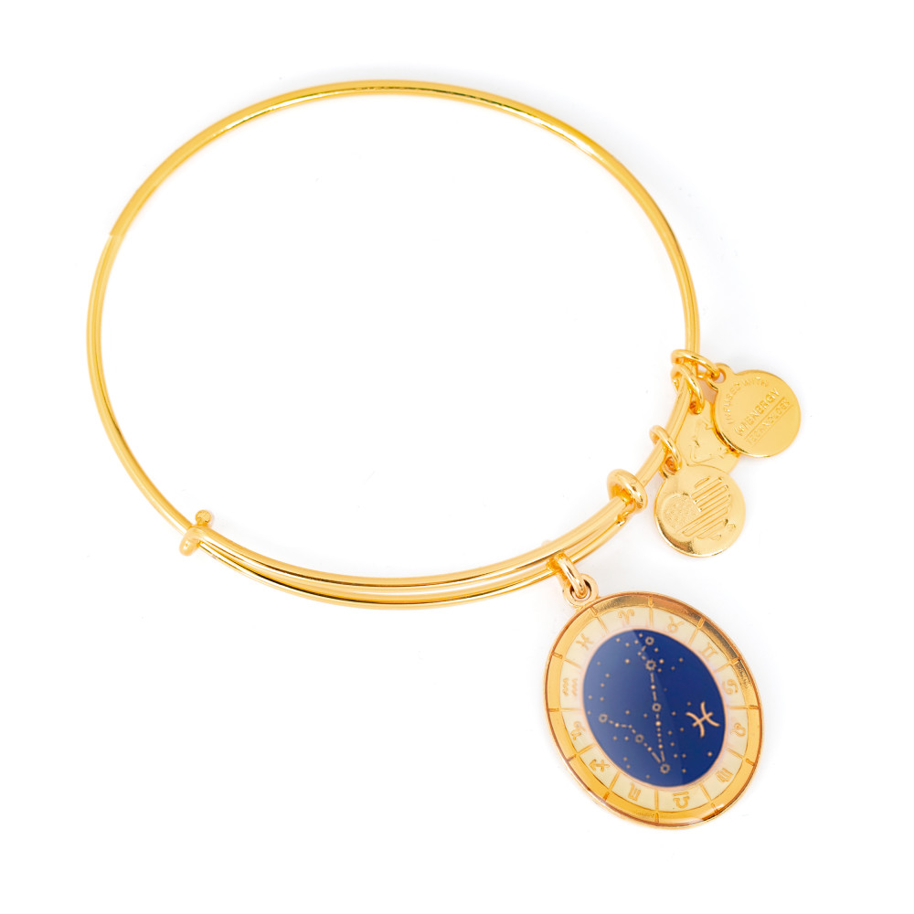 Produktbild för ALEX AND ANI A15EB65YG - Bracelet Dam (20CM)