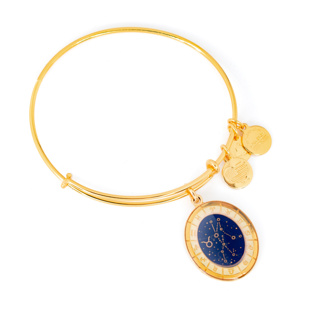 Produktbild för ALEX AND ANI A15EB68YG - Bracelet Dam (20CM)