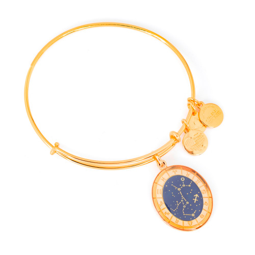 Alex and ani ALEX AND ANI A15EN37YG - Bracelet Dam (20CM)