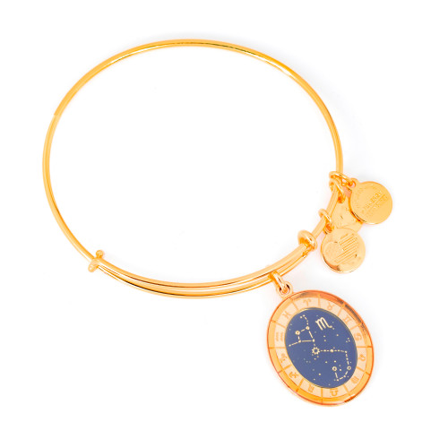 Alex and ani ALEX AND ANI A15EN38YG - Bracelet Dam (20CM)