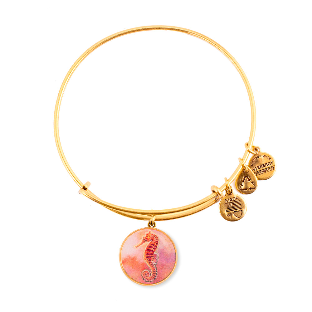 Produktbild för ALEX AND ANI A16EB32YG - Bracelet Dam (20CM)