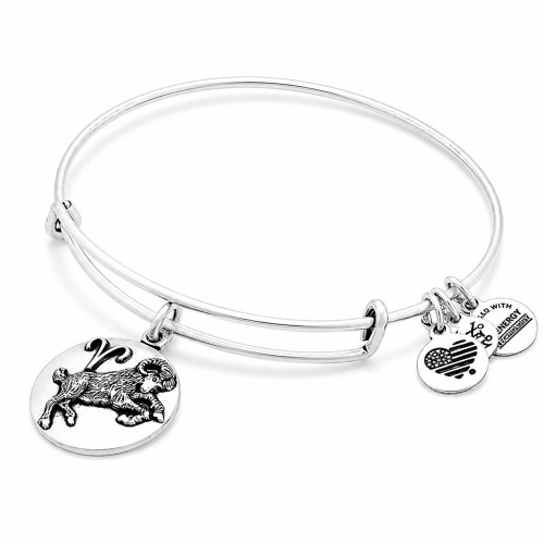 Alex and ani ALEX AND ANI A16EB50RS - Bracelet Dam (20CM)