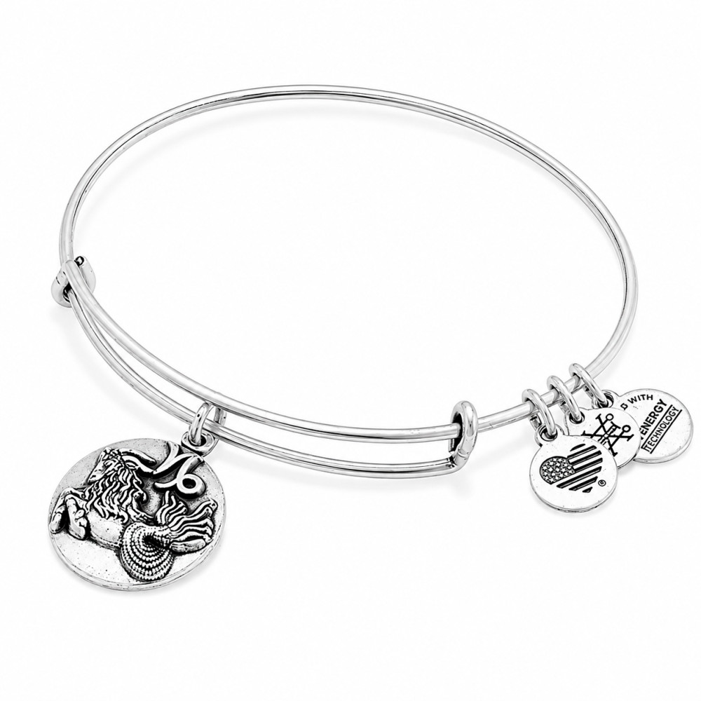 Produktbild för ALEX AND ANI A16EB51RS - Bracelet Dam (20CM)