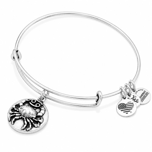 Alex and ani ALEX AND ANI A16EB52RS - Bracelet Dam (20CM)
