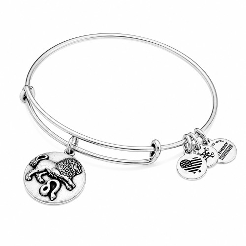 Alex and ani ALEX AND ANI A16EB54RS - Bracelet Dam (20CM)
