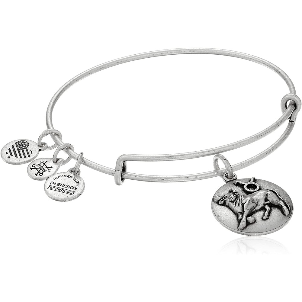 Produktbild för ALEX AND ANI A16EB59RS - Bracelet Dam (17,5CM)
