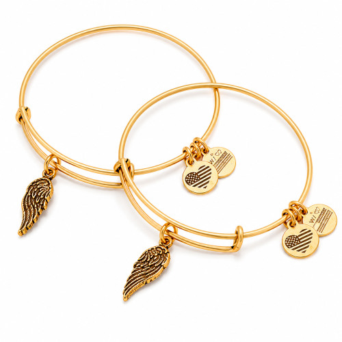 Alex and ani ALEX AND ANI A16EB64RG - Bracelet Dam (20CM)