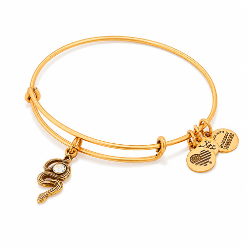 Alex and ani ALEX AND ANI A16EB68RG - Bracelet Dam (20CM)