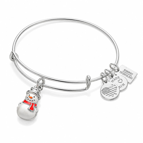 Alex and ani ALEX AND ANI A16EB91SS - Bracelet Dam (20CM)