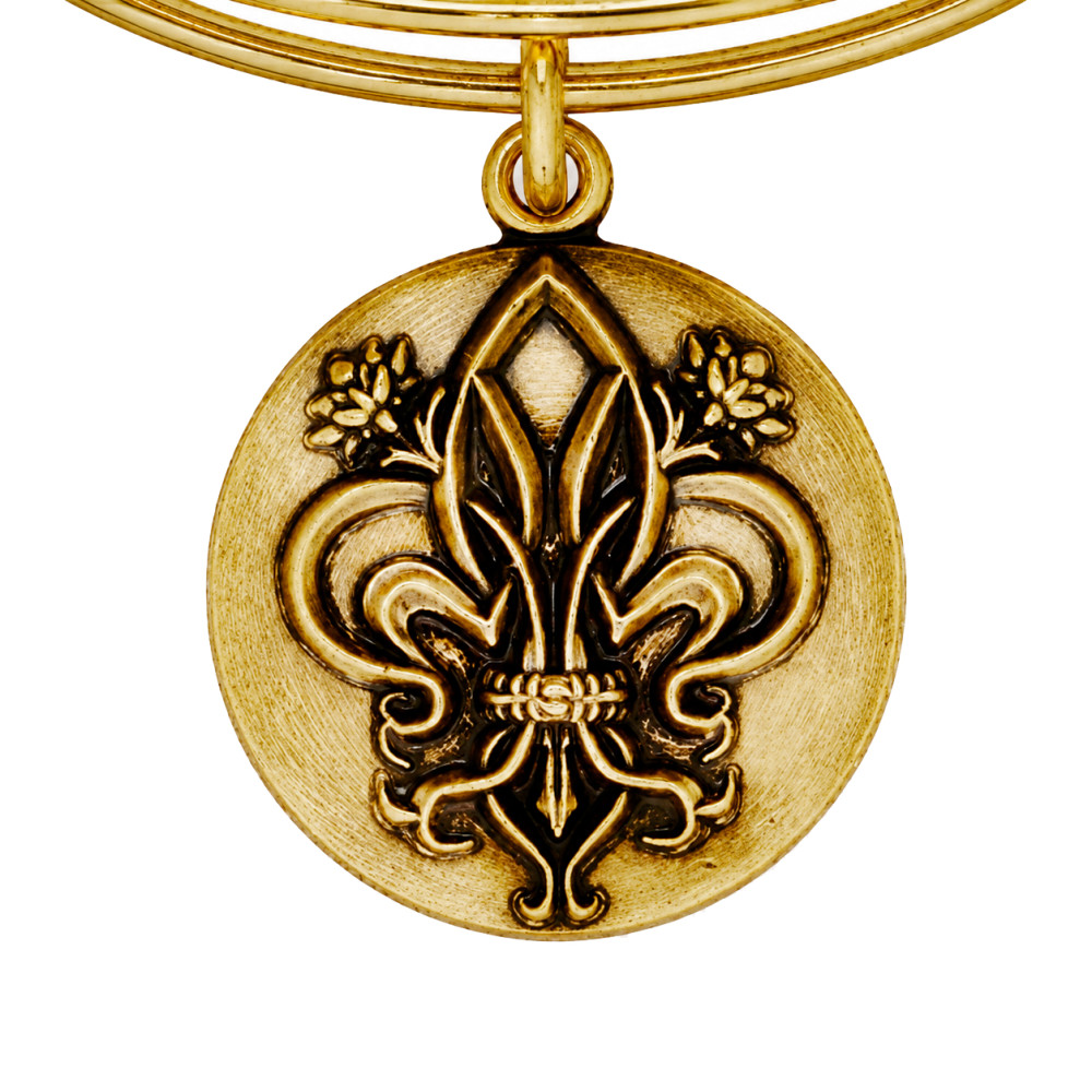 Produktbild för ALEX AND ANI A16EBFDLRG - Bracelet Dam (20CM)