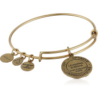 Produktbild för ALEX AND ANI A16EBLBRG - Bracelet Dam (17,5CM)