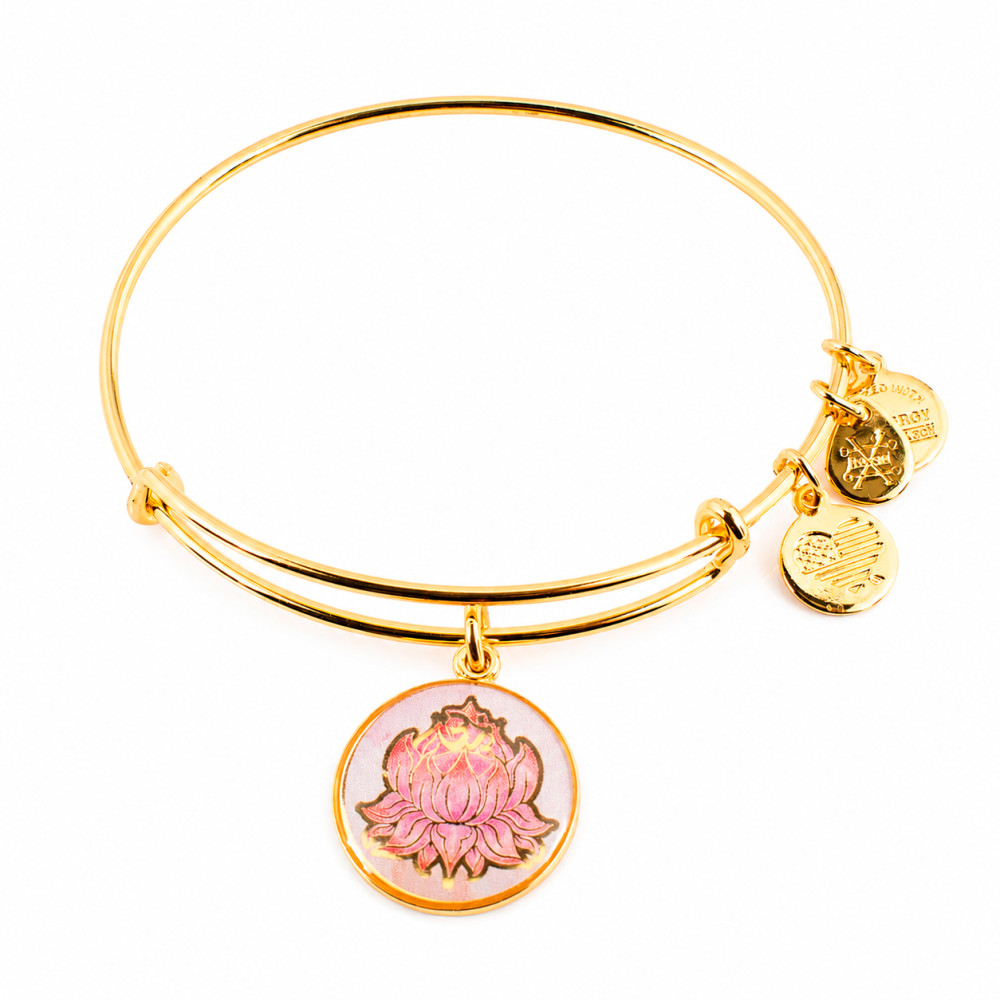 Produktbild för ALEX AND ANI A16EBLPPYG - Bracelet Dam (20CM)