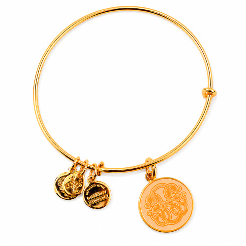 Alex and ani ALEX AND ANI A16EBPOLYG - Bracelet Dam (20CM)