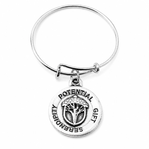 Alex and ani ALEX AND ANI A16ERUMRS - Bracelet Dam (20CM)
