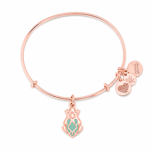 Alex and ani ALEX AND ANI A17EB03SR - Bracelet Dam (20CM)