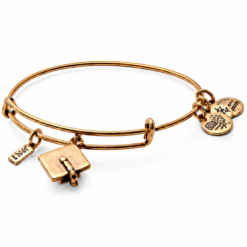 Alex and ani ALEX AND ANI A17EB04RG - Bracelet Dam (20CM)